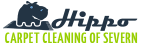 Hippo Carpet Cleaning of Severn