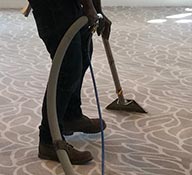 Carpet Steam Cleaning