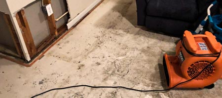 Mold Testing & Inspection in Severn MD